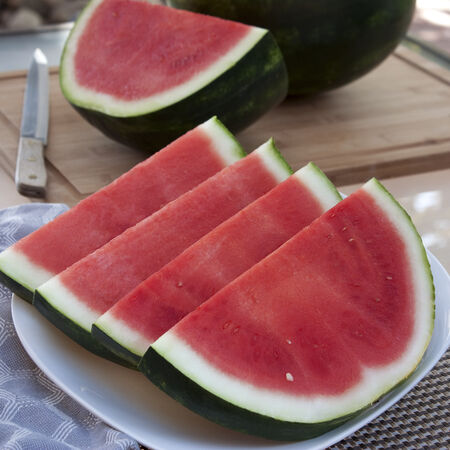Belmont, (F1) Watermelon Seeds - Packet image number null